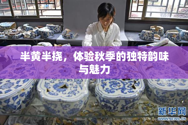半黄半挠，体验秋季的独特韵味与魅力