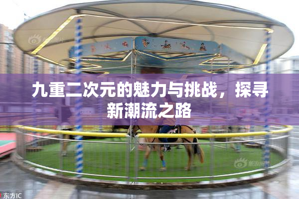 九重二次元的魅力与挑战，探寻新潮流之路