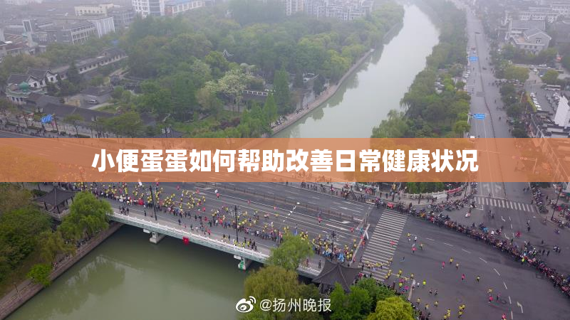 小便蛋蛋如何帮助改善日常健康状况