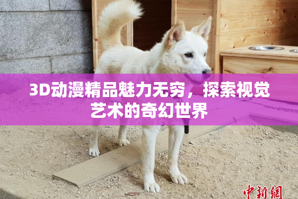 3D动漫精品魅力无穷，探索视觉艺术的奇幻世界