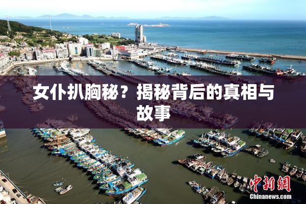 女仆扒胸秘？揭秘背后的真相与故事