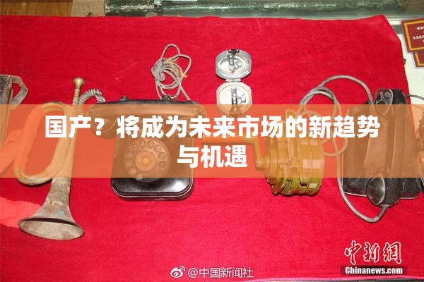 国产？将成为未来市场的新趋势与机遇