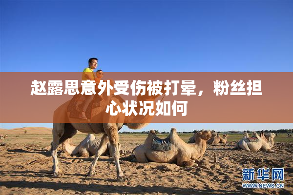 赵露思意外受伤被打晕，粉丝担心状况如何