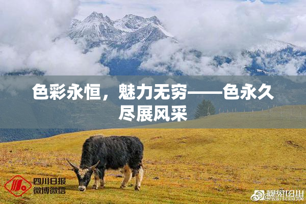 色彩永恒，魅力无穷——色永久尽展风采