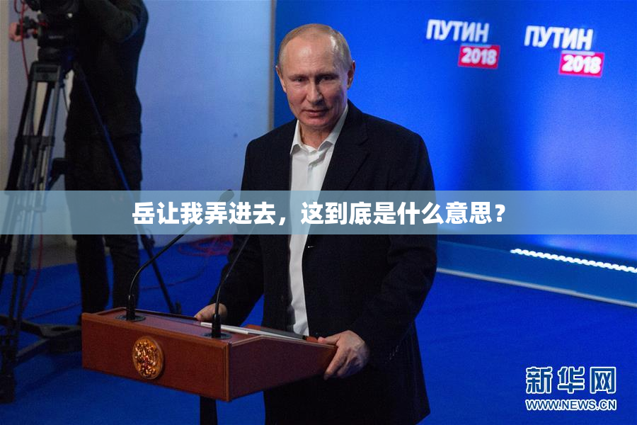 岳让我弄进去，这到底是什么意思？