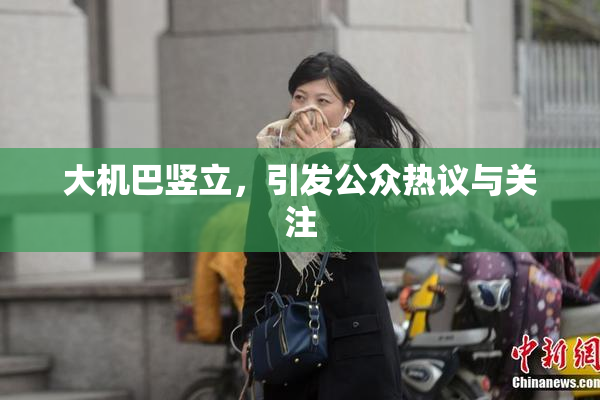 大机巴竖立，引发公众热议与关注