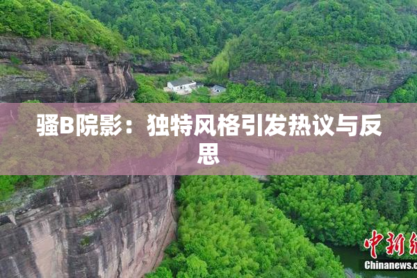 骚B院影：独特风格引发热议与反思