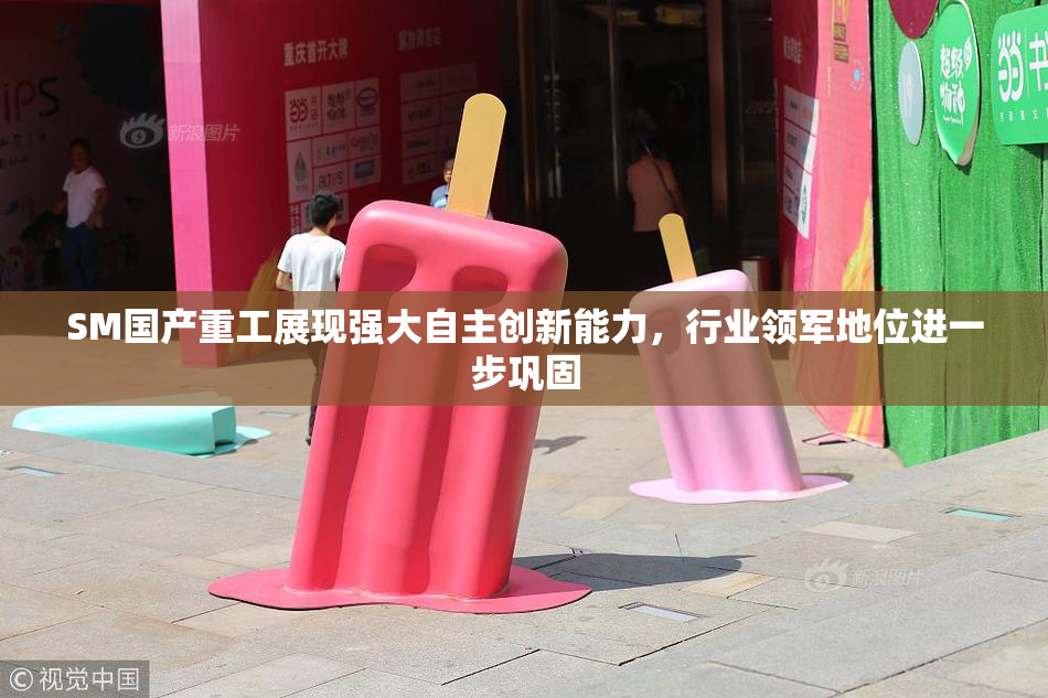 SM国产重工展现强大自主创新能力，行业领军地位进一步巩固
