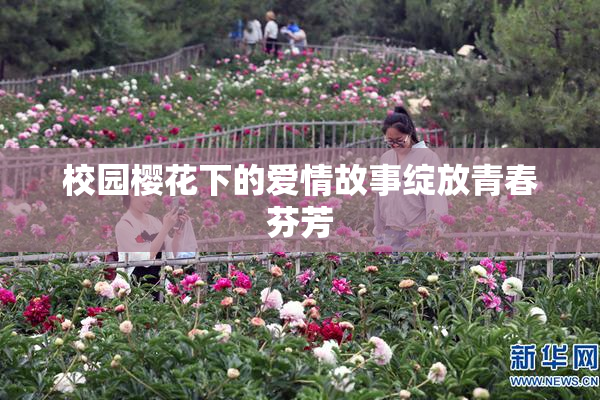 校园樱花下的爱情故事绽放青春芬芳