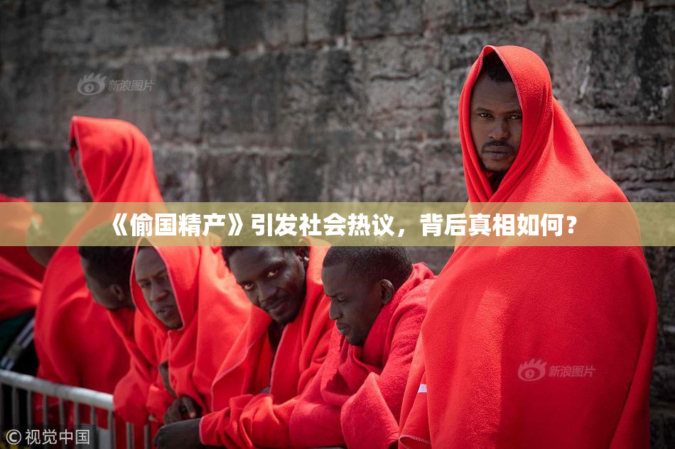 《偷国精产》引发社会热议，背后真相如何？