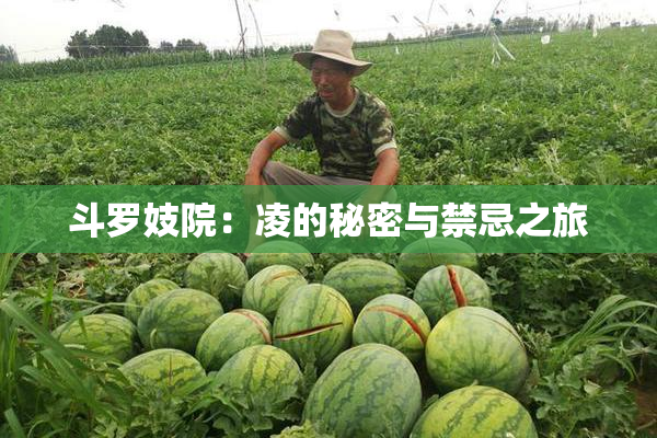 斗罗妓院：凌的秘密与禁忌之旅