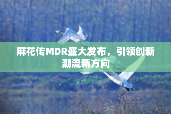 麻花传MDR盛大发布，引领创新潮流新方向