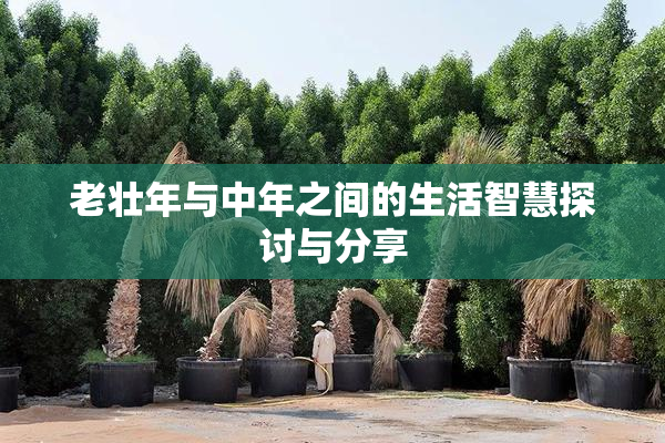 老壮年与中年之间的生活智慧探讨与分享