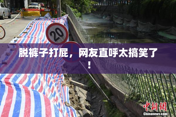 脱裤子打屁，网友直呼太搞笑了！