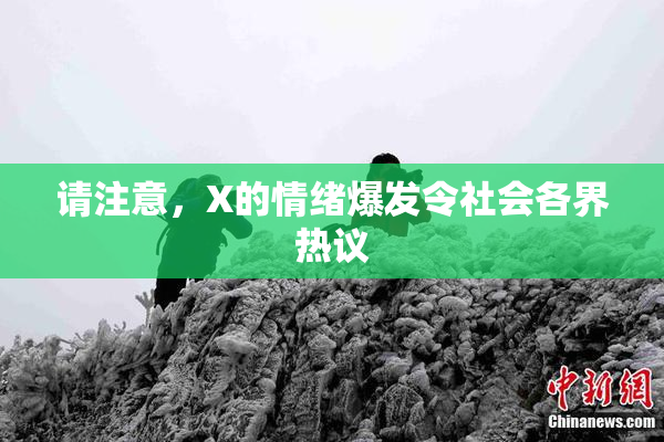 请注意，X的情绪爆发令社会各界热议