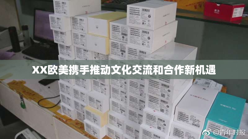 XX欧美携手推动文化交流和合作新机遇