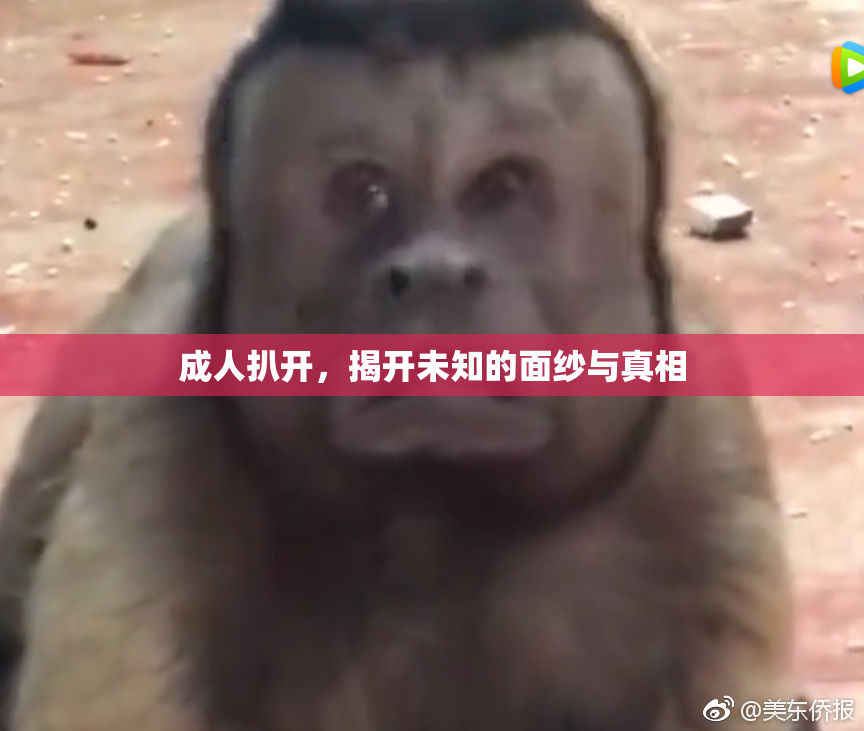 成人扒开，揭开未知的面纱与真相