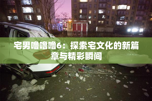 宅男噜噜噜6：探索宅文化的新篇章与精彩瞬间