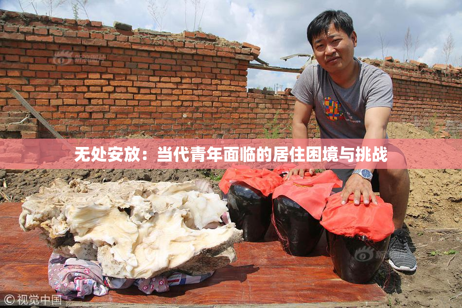 无处安放：当代青年面临的居住困境与挑战