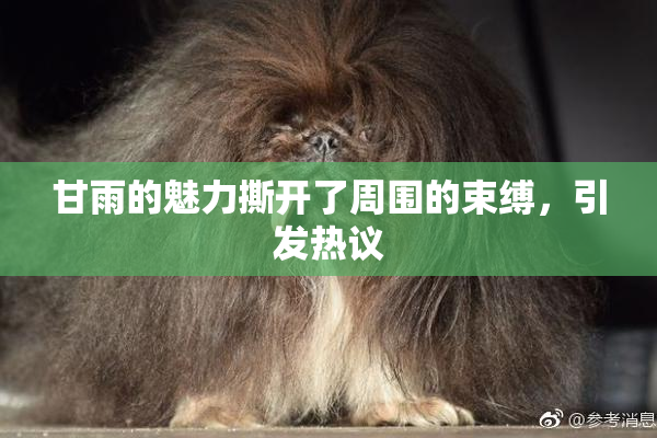 甘雨的魅力撕开了周围的束缚，引发热议