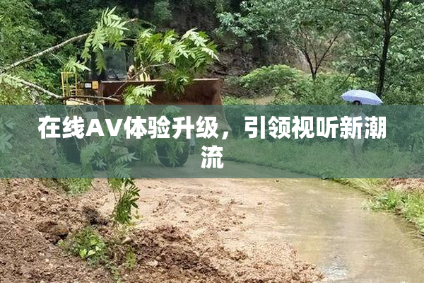 在线AV体验升级，引领视听新潮流