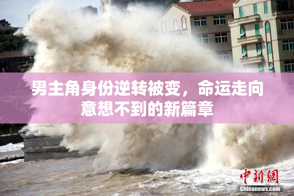 男主角身份逆转被变，命运走向意想不到的新篇章