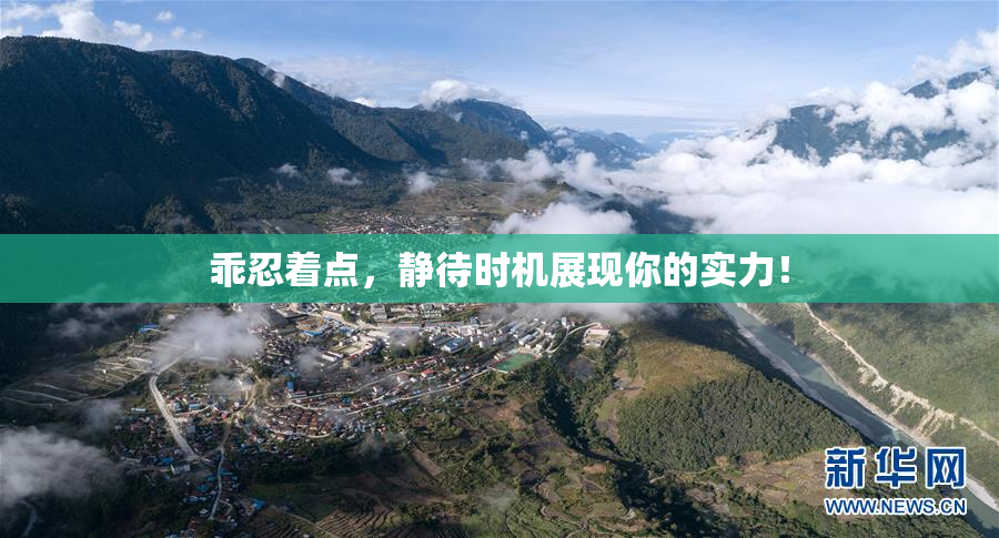 乖忍着点，静待时机展现你的实力！