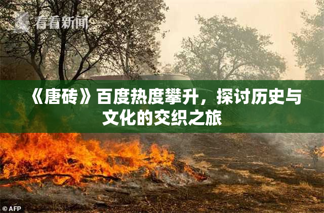 《唐砖》百度热度攀升，探讨历史与文化的交织之旅