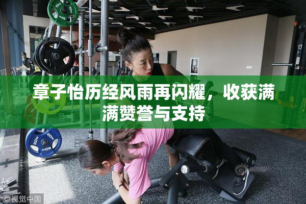 章子怡历经风雨再闪耀，收获满满赞誉与支持