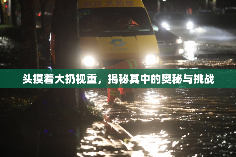 头摸着大扔视重，揭秘其中的奥秘与挑战