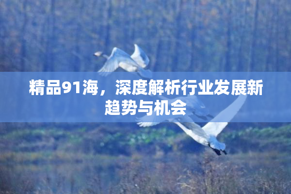 精品91海，深度解析行业发展新趋势与机会