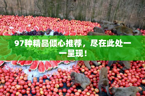 97种精品倾心推荐，尽在此处一一呈现！