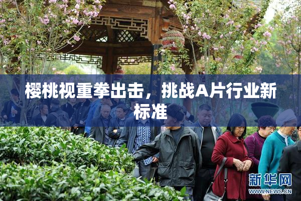 樱桃视重拳出击，挑战A片行业新标准
