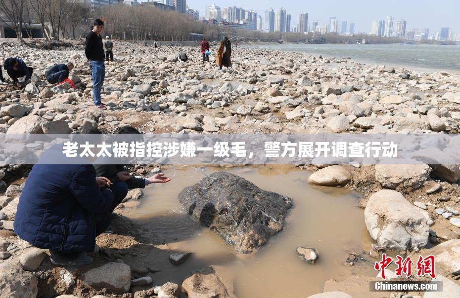 老太太被指控涉嫌一级毛，警方展开调查行动