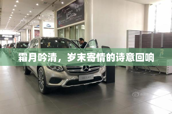 霜月吟清，岁末寄情的诗意回响