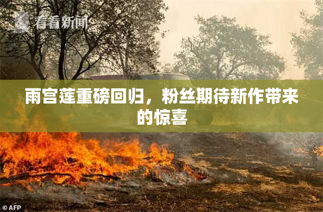 雨宫莲重磅回归，粉丝期待新作带来的惊喜