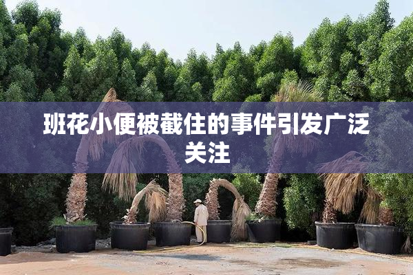班花小便被截住的事件引发广泛关注
