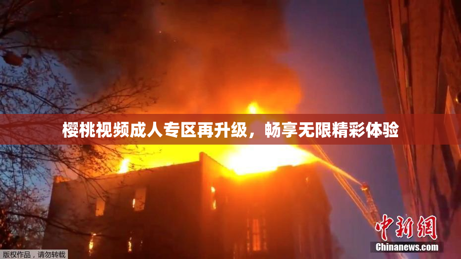 樱桃视频成人专区再升级，畅享无限精彩体验