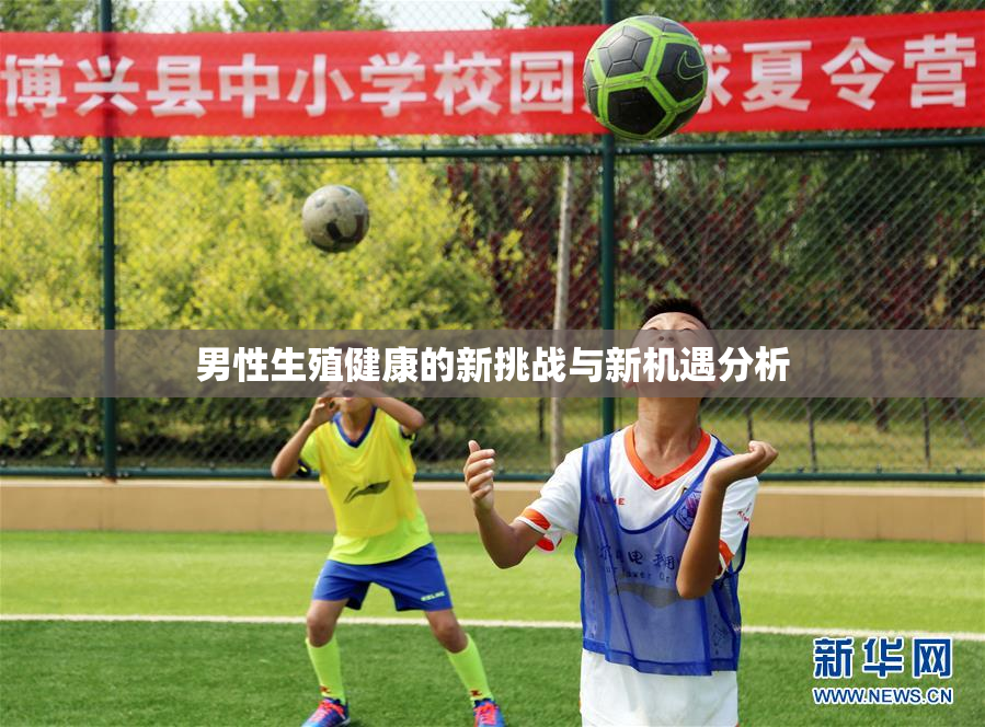 男性生殖健康的新挑战与新机遇分析