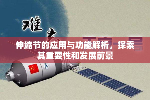 伸缩节的应用与功能解析，探索其重要性和发展前景