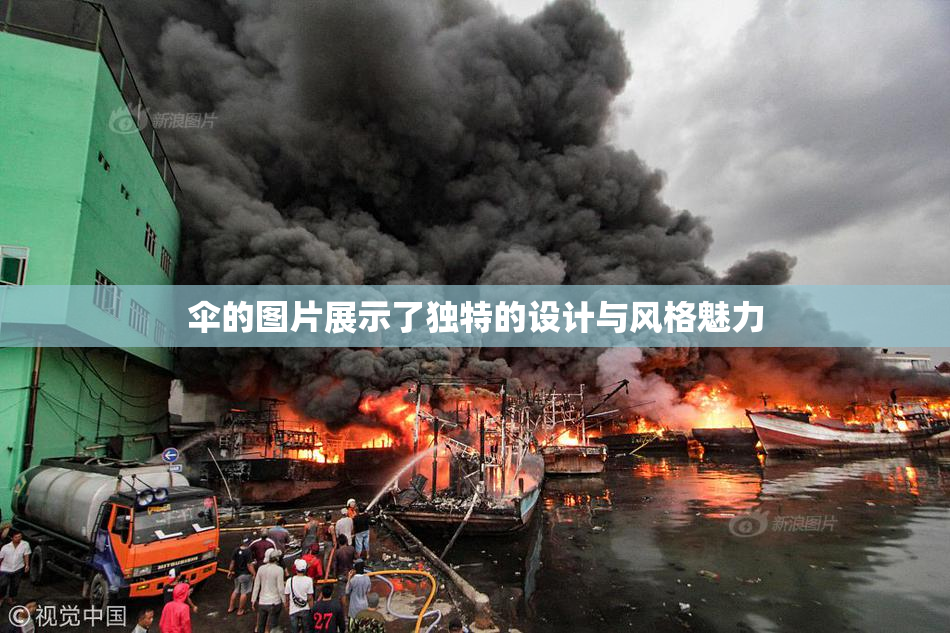 伞的图片展示了独特的设计与风格魅力