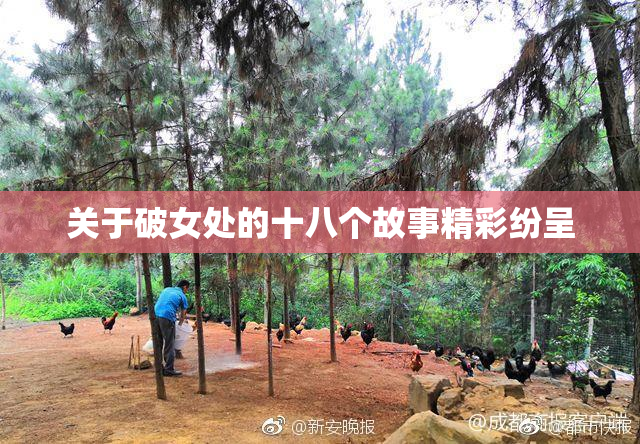 关于破女处的十八个故事精彩纷呈