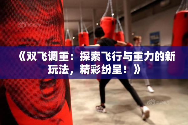 《双飞调重：探索飞行与重力的新玩法，精彩纷呈！》