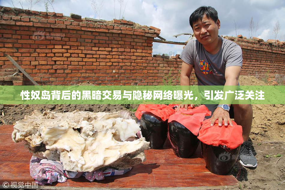 性奴岛背后的黑暗交易与隐秘网络曝光，引发广泛关注
