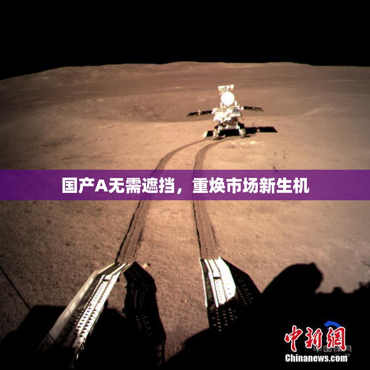 国产A无需遮挡，重焕市场新生机