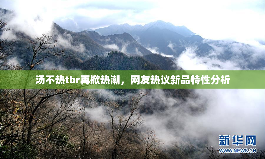 汤不热tbr再掀热潮，网友热议新品特性分析