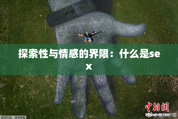探索性与情感的界限：什么是sex