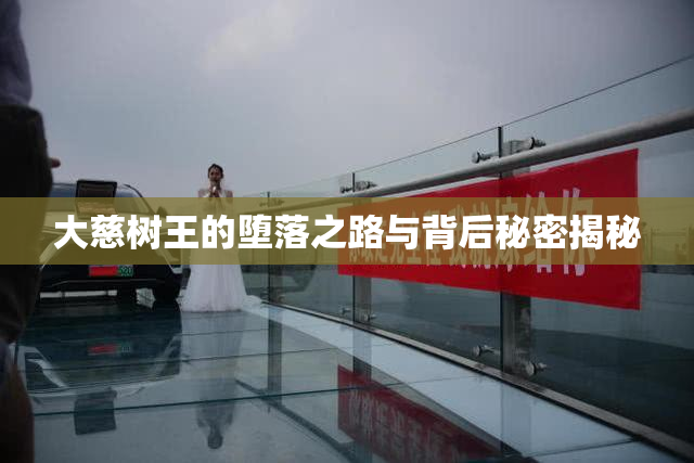大慈树王的堕落之路与背后秘密揭秘