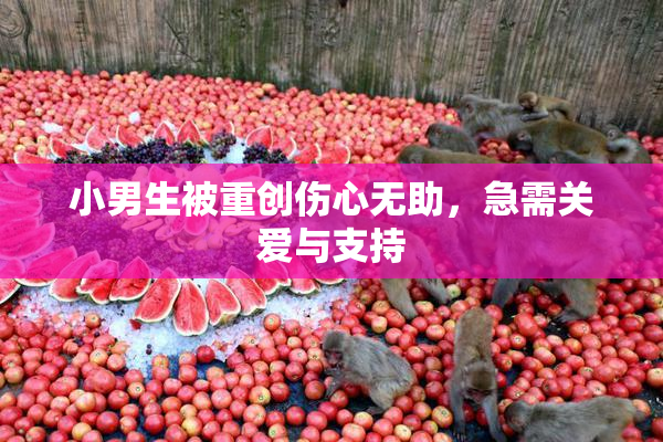 小男生被重创伤心无助，急需关爱与支持