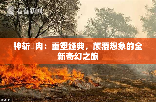 神斩婬肉：重塑经典，颠覆想象的全新奇幻之旅